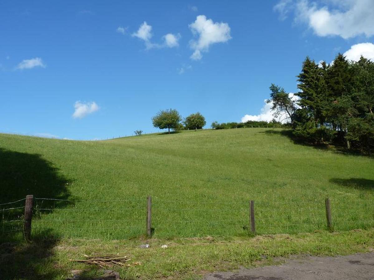 Suedeifel Ferienhaeuser Christian Faust Villa Zweifelscheid Esterno foto